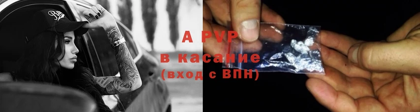 A-PVP СК  Галич 