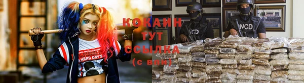 ПСИЛОЦИБИНОВЫЕ ГРИБЫ Мегион