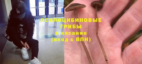 дмт Заволжск