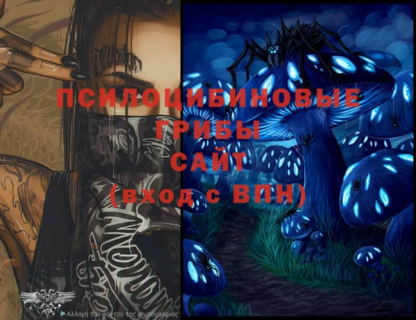 спайс Медногорск